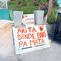 Thumbnail image for article: Online presence for Caribbean businesses