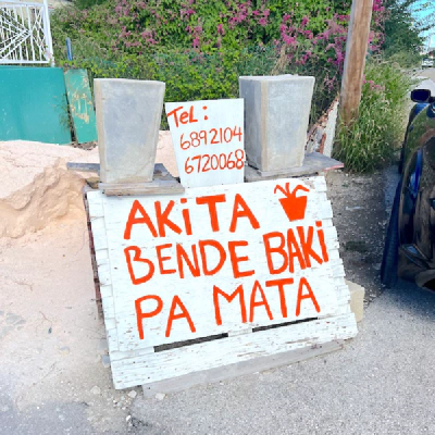 Thumbnail image for article: Online presence for Caribbean businesses