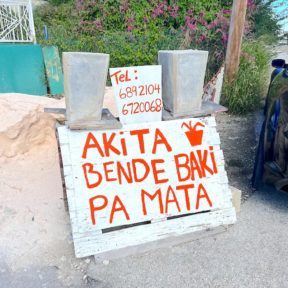 Thumbnail image for article: Online presence for Caribbean businesses Thumbnail image for article: Online presence for Caribbean businesses