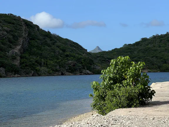 Featured image for page: Blog Featured image for page: Blog