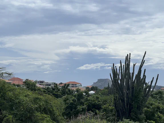 Featured image for page: Demos