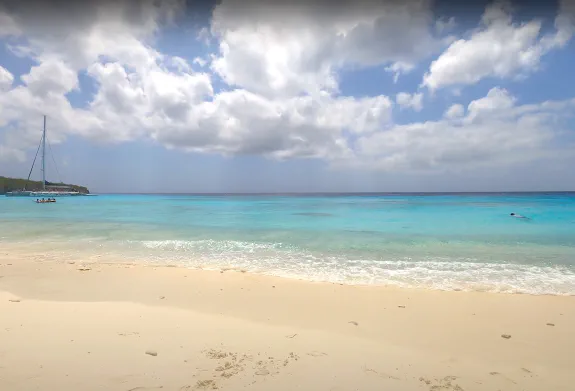 Featured image for page: Portfolio Featured image for page: Portfolio