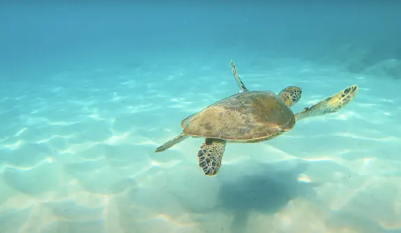 Featured image for page: Products Featured image for page: Products